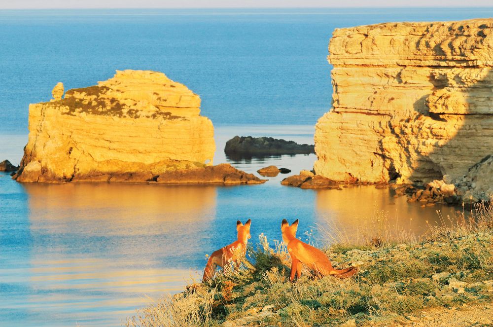 Photograph by Владимир Бочковский