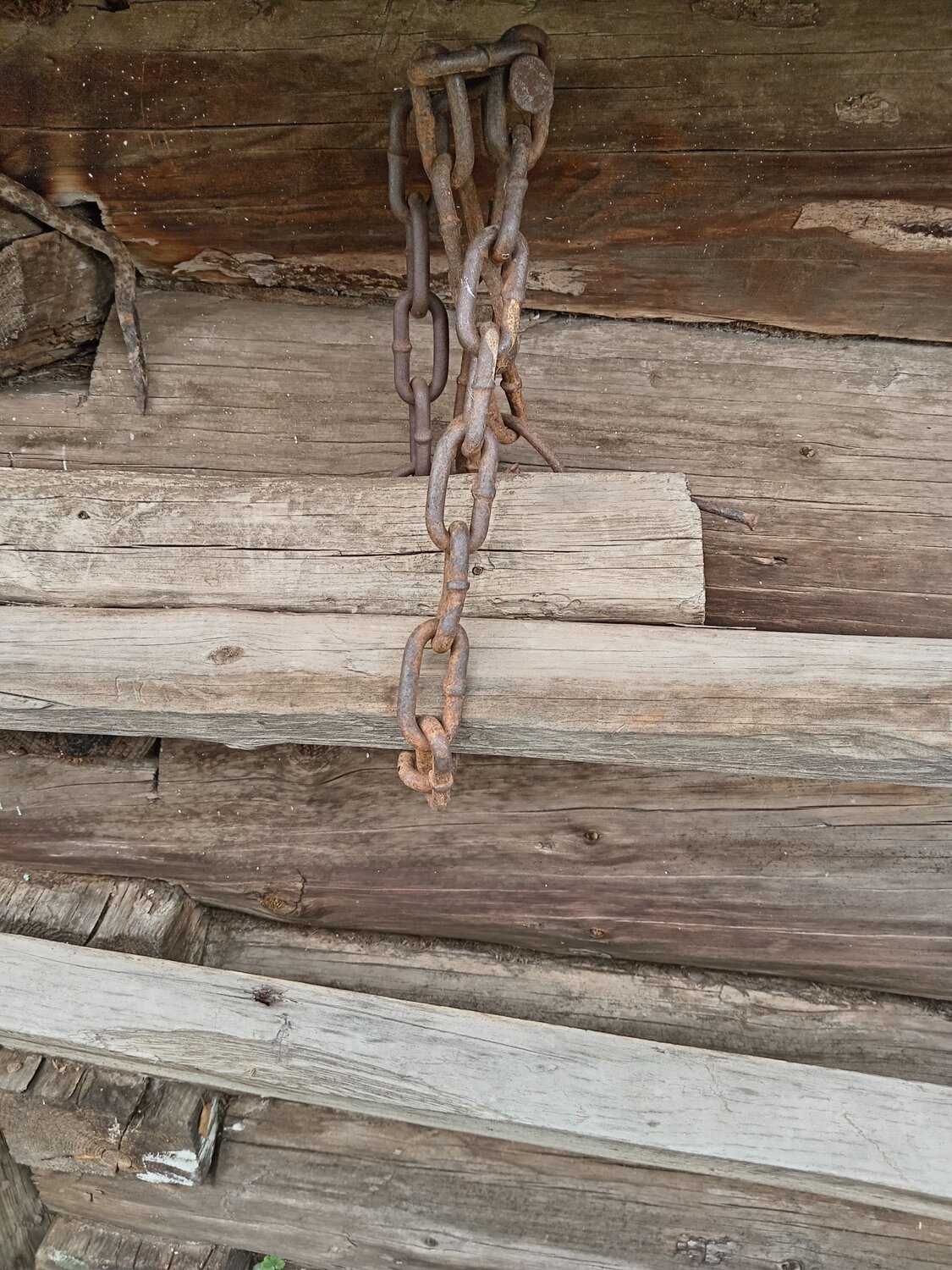 Photo #12795179