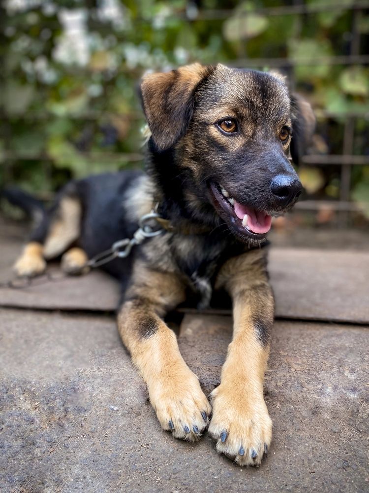 Photograph by Yuliana Zhyriakova