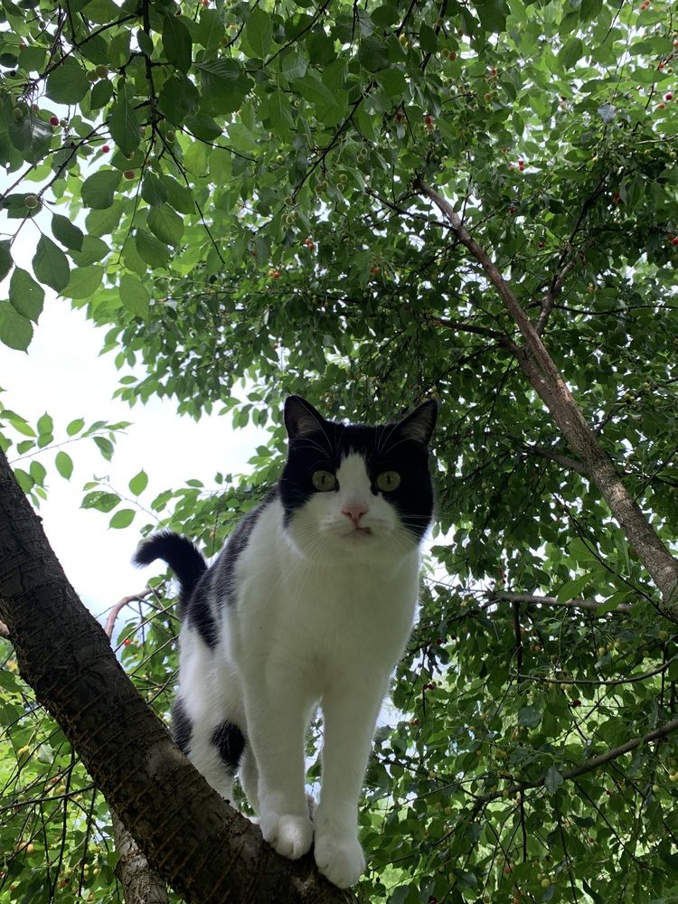 Photograph by Игорь Ребров