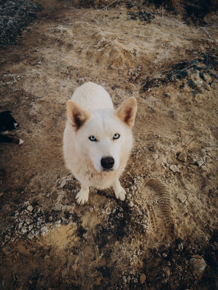 Photograph by Алёна Горошко