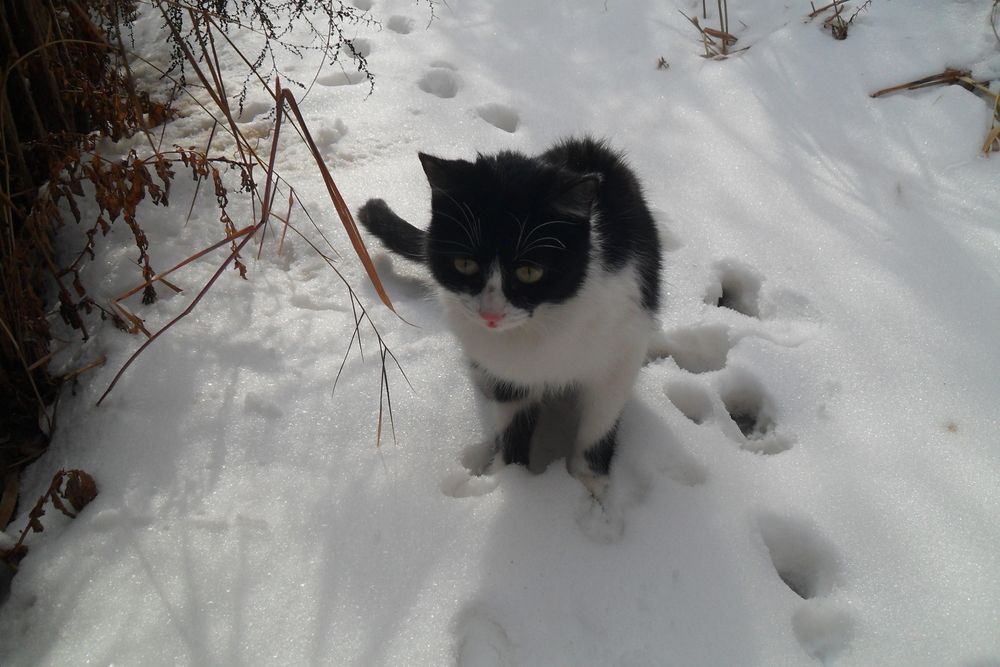 Photograph by Эдик Нуран