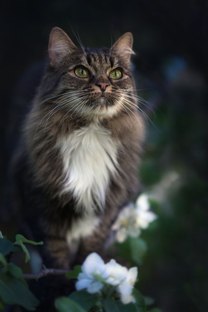 Photograph by Светлана Алексеева