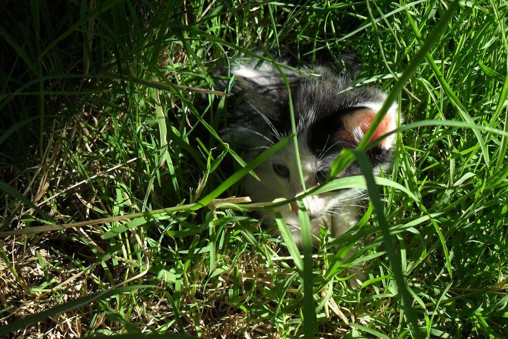 Photograph by Эдик Нуран