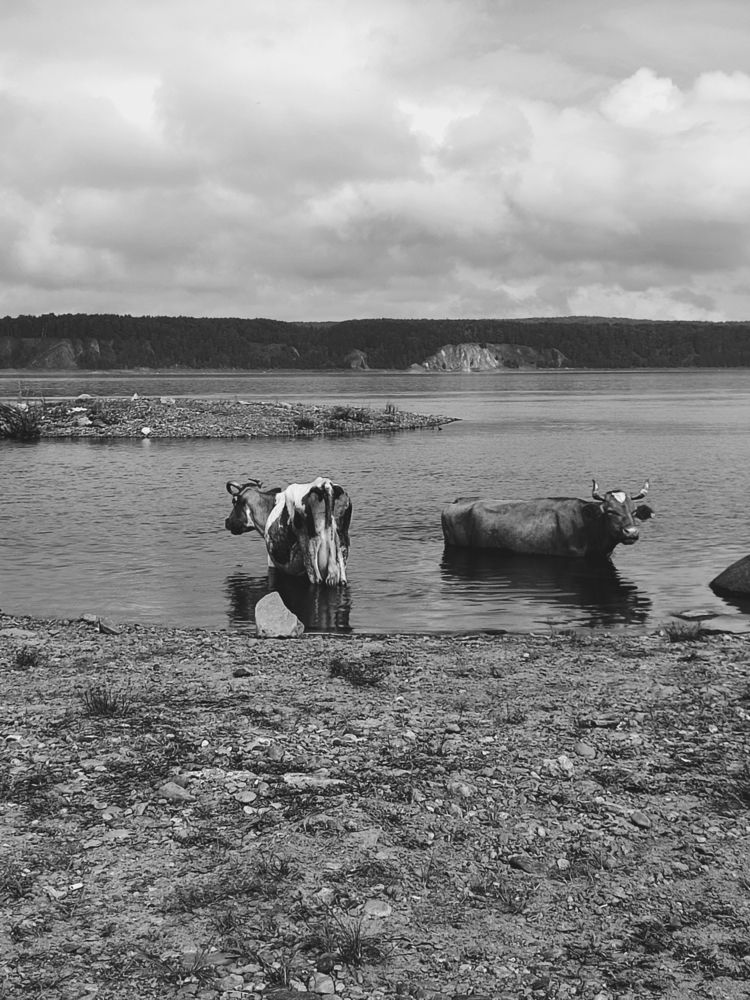 Photograph by Наталья Смирнова