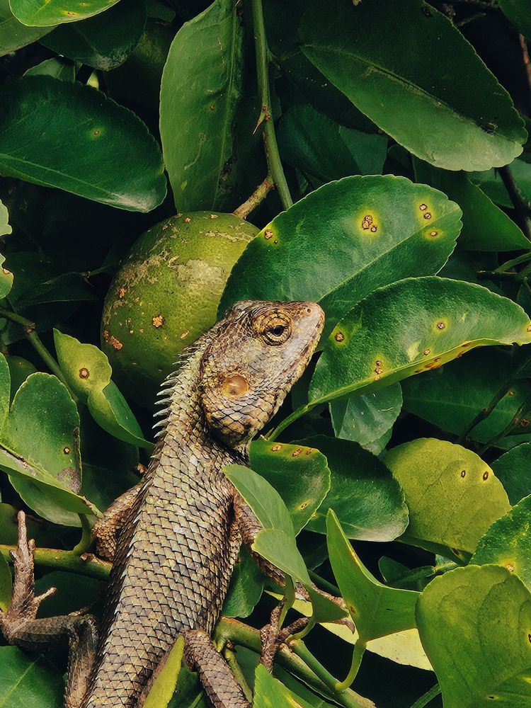 Photograph by prashant bamnawat