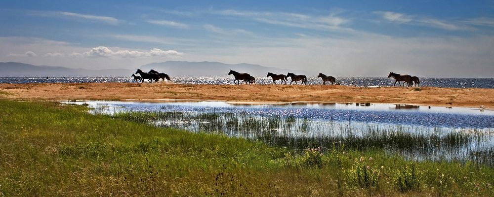 Photograph by Юрий Борик