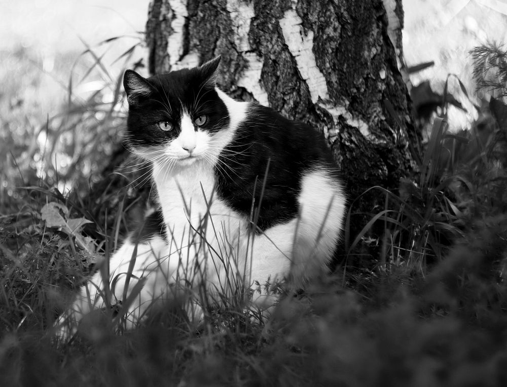 Photograph by Леонид Уральский