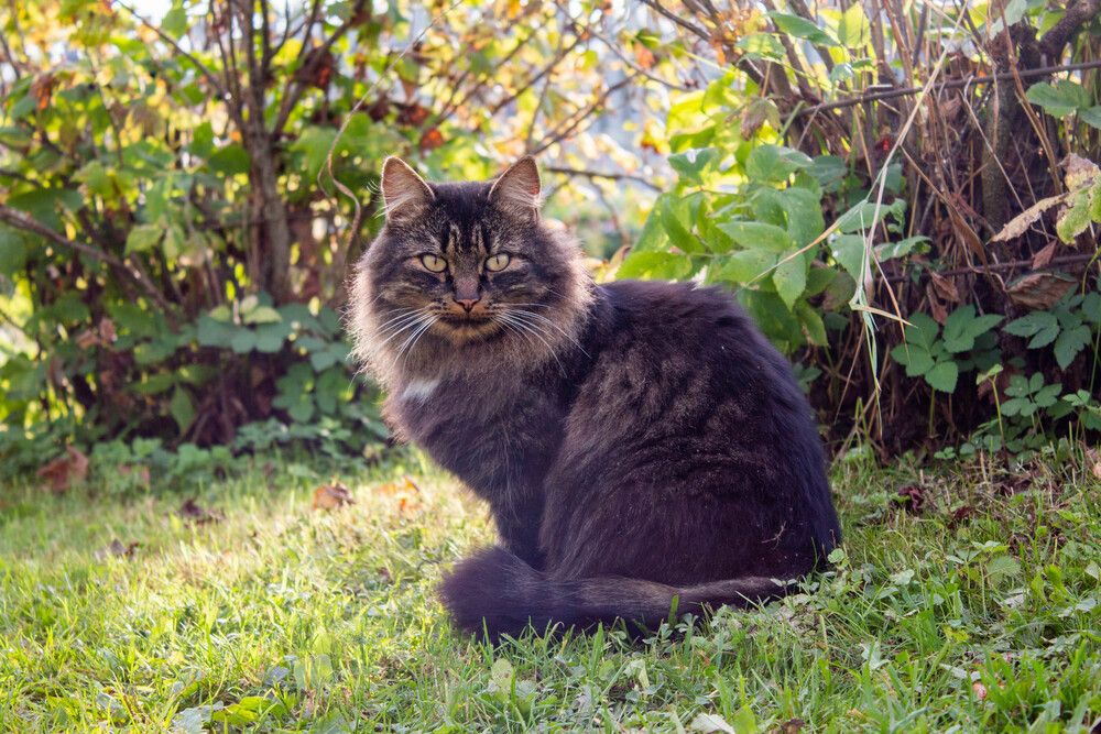 Фотография автора Анастасия Красикова