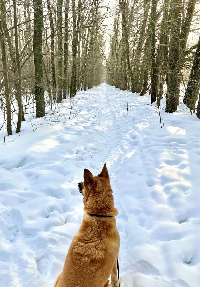 Photograph by Татьяна Мустафина