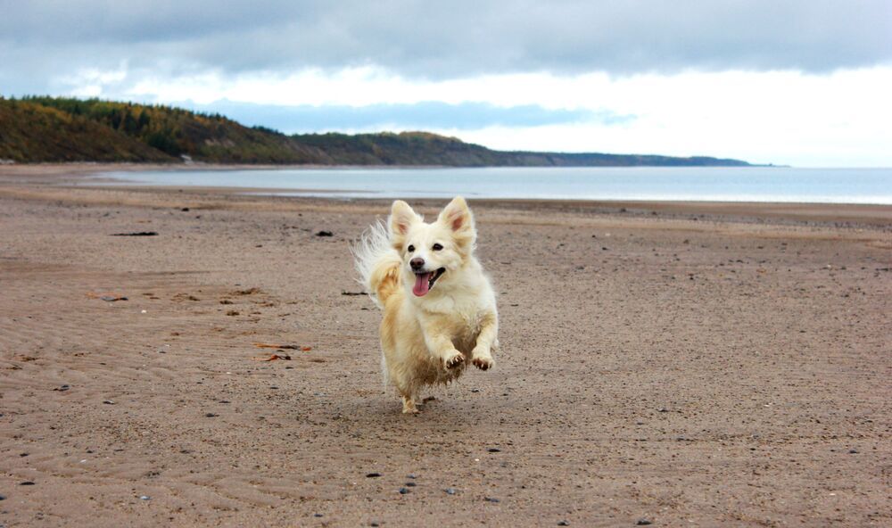 Фотография автора Анастасия Красикова