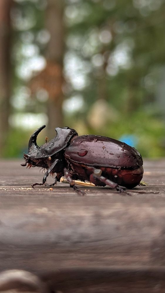 Photograph by Ирина Антипова