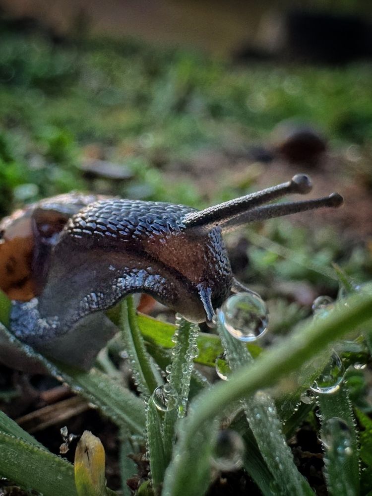 Photograph by Ирина Антипова