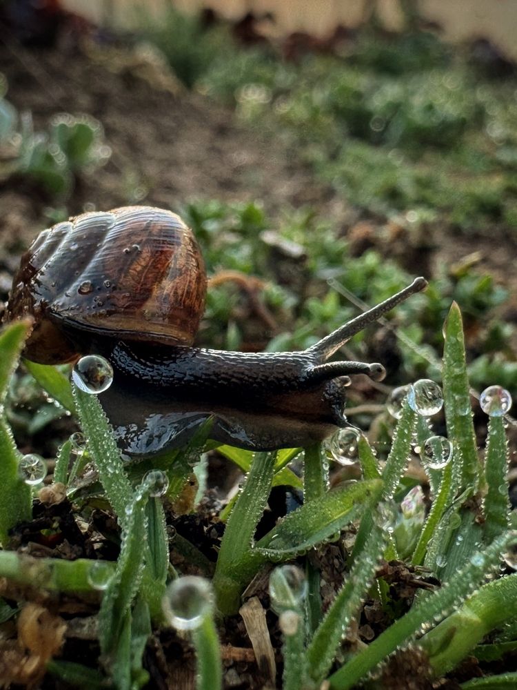 Photograph by Ирина Антипова