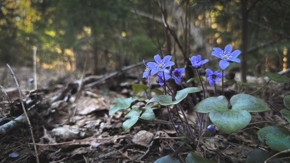 Photograph by Ирина Антипова