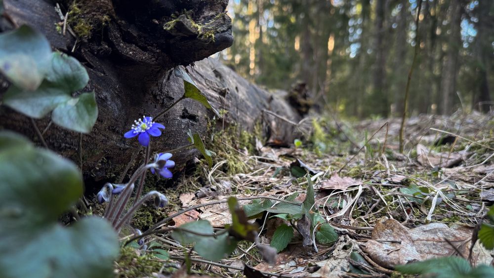 Photograph by Ирина Антипова