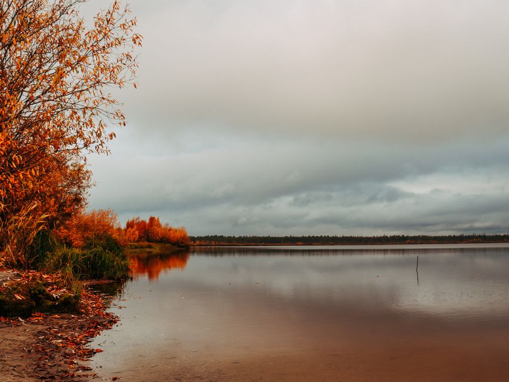Photograph by Мария Мосина