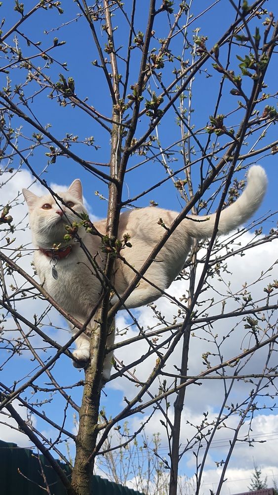 Photograph by Виктория Образцова