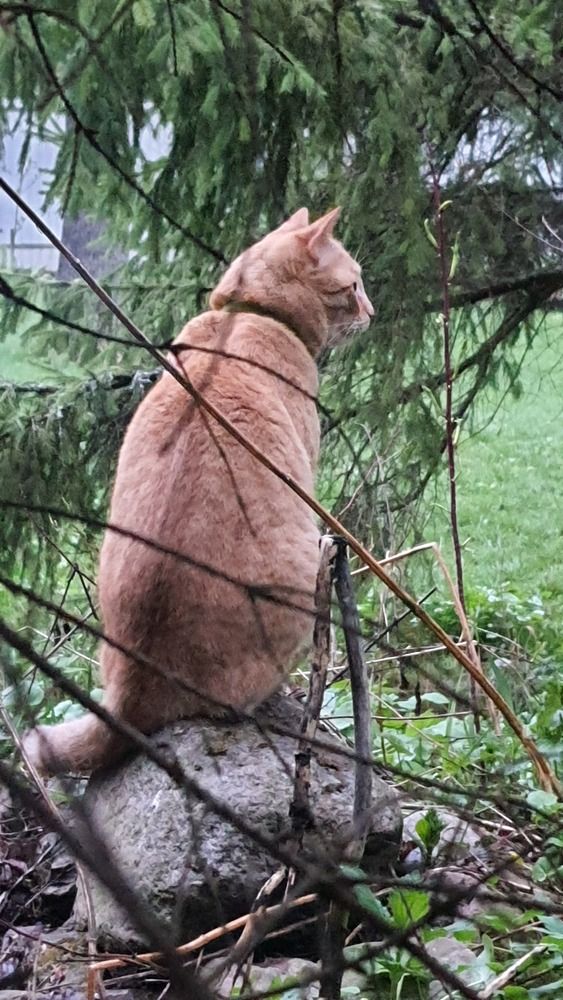 Photograph by Виктория Образцова