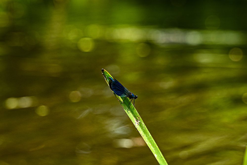 Photograph by Ольга Коршунова