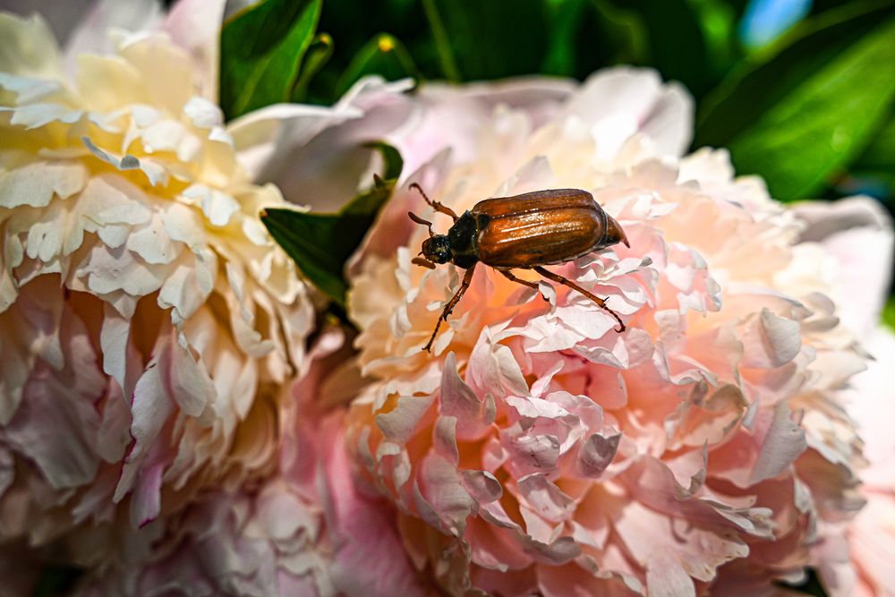 Photograph by Ольга Коршунова