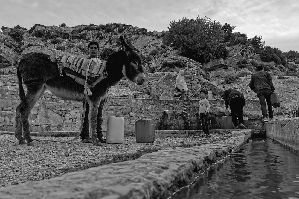 Photograph by Azzeddine Memmou