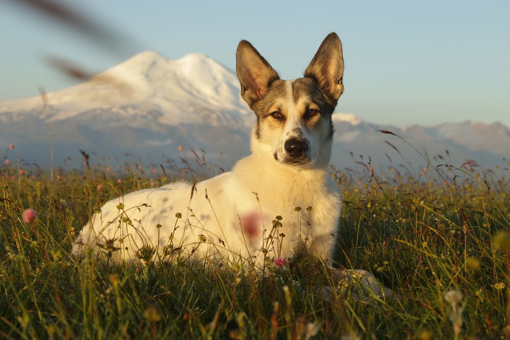 Photograph by Татьяна Мурзенко