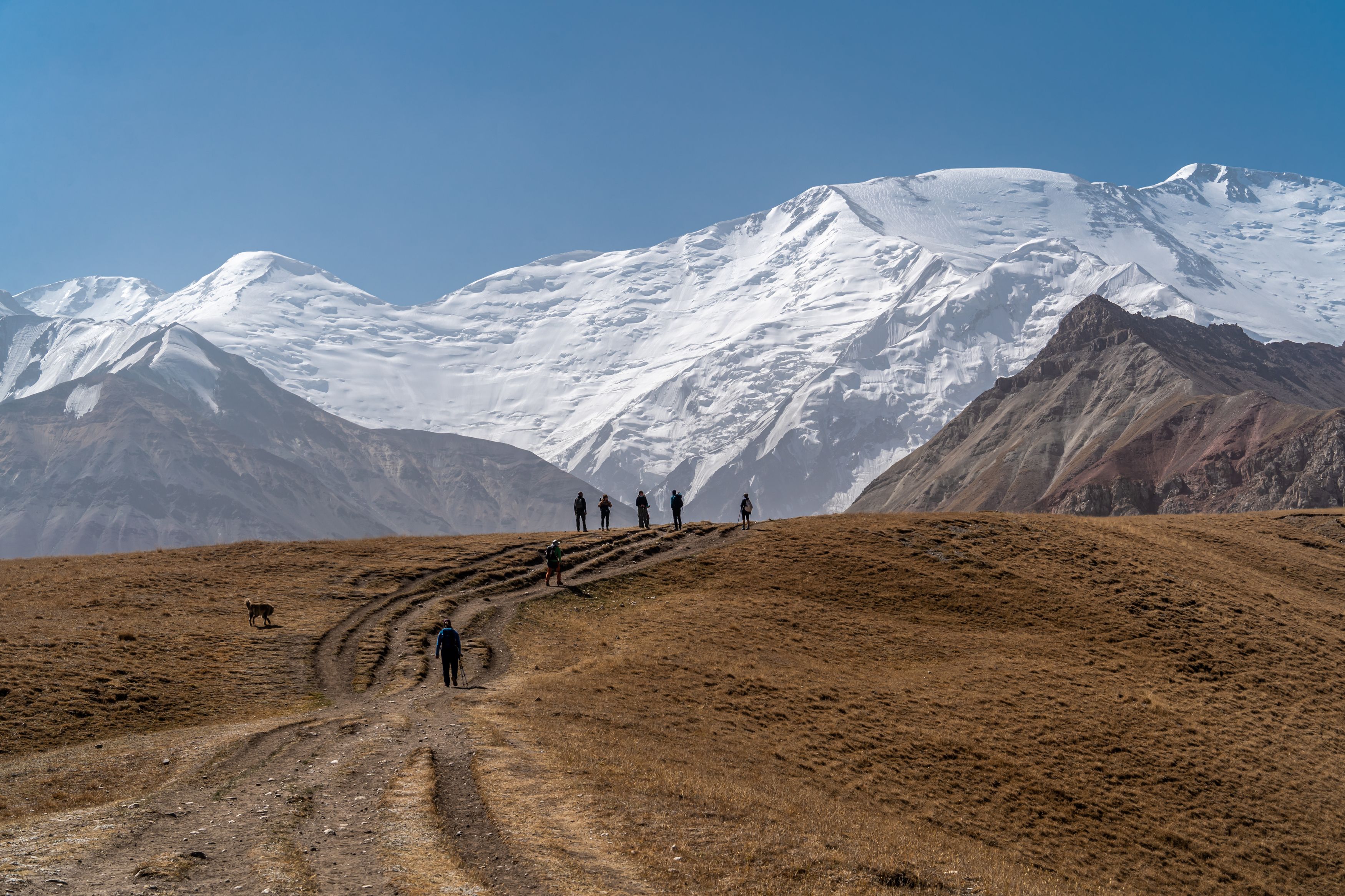 Фотография автора Юлия Есина