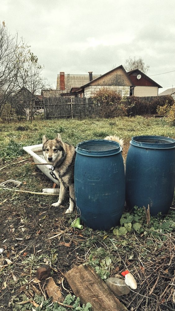 Photograph by Елена Гущина