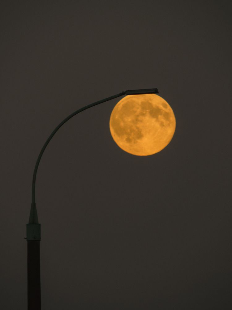 Photograph by Игорь Сухаревич