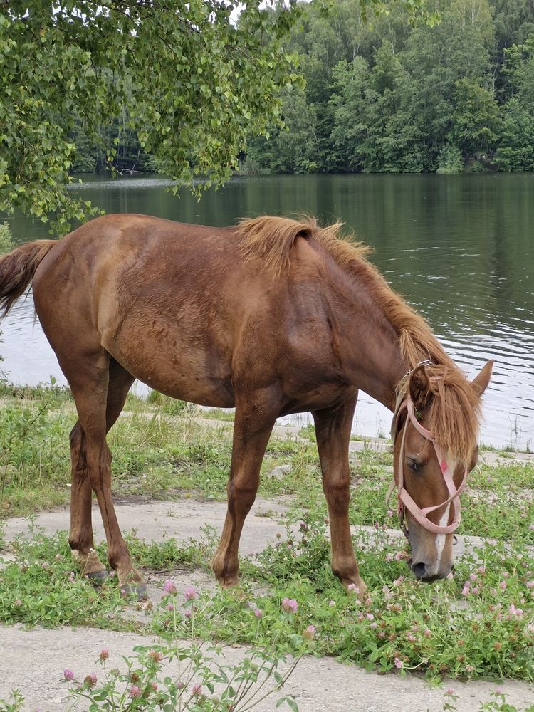 Photograph by Наталья Резванова