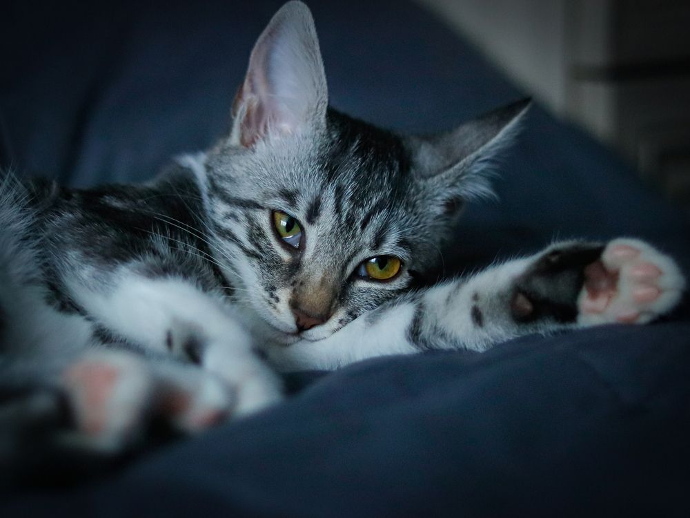 Photograph by Ekaterina Slepneva