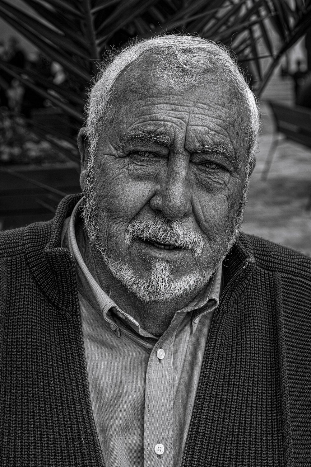 El abuelo