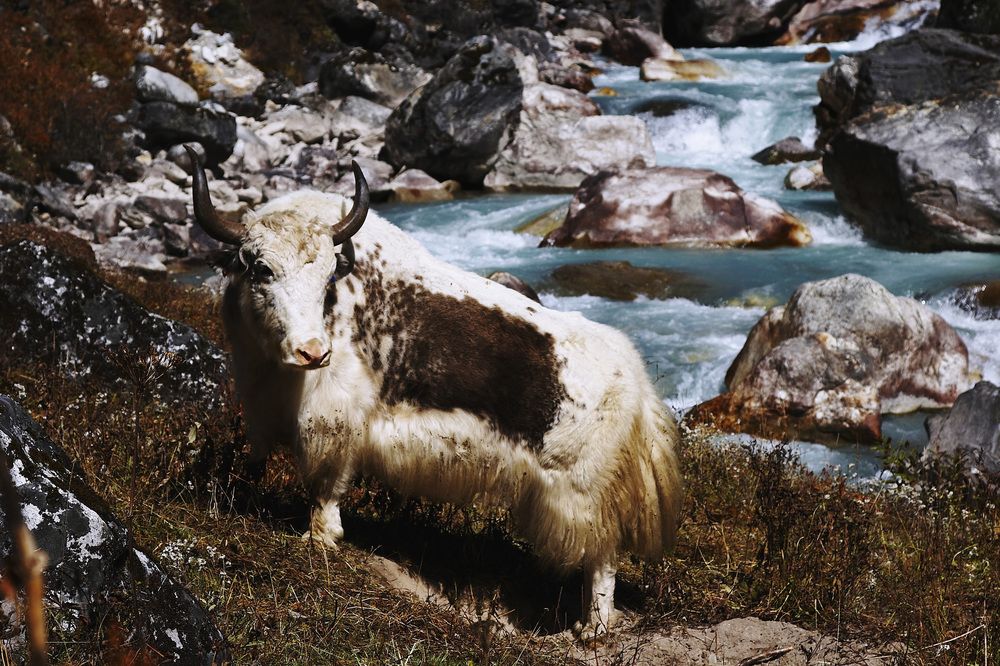 Photograph by Сергей Сысалов
