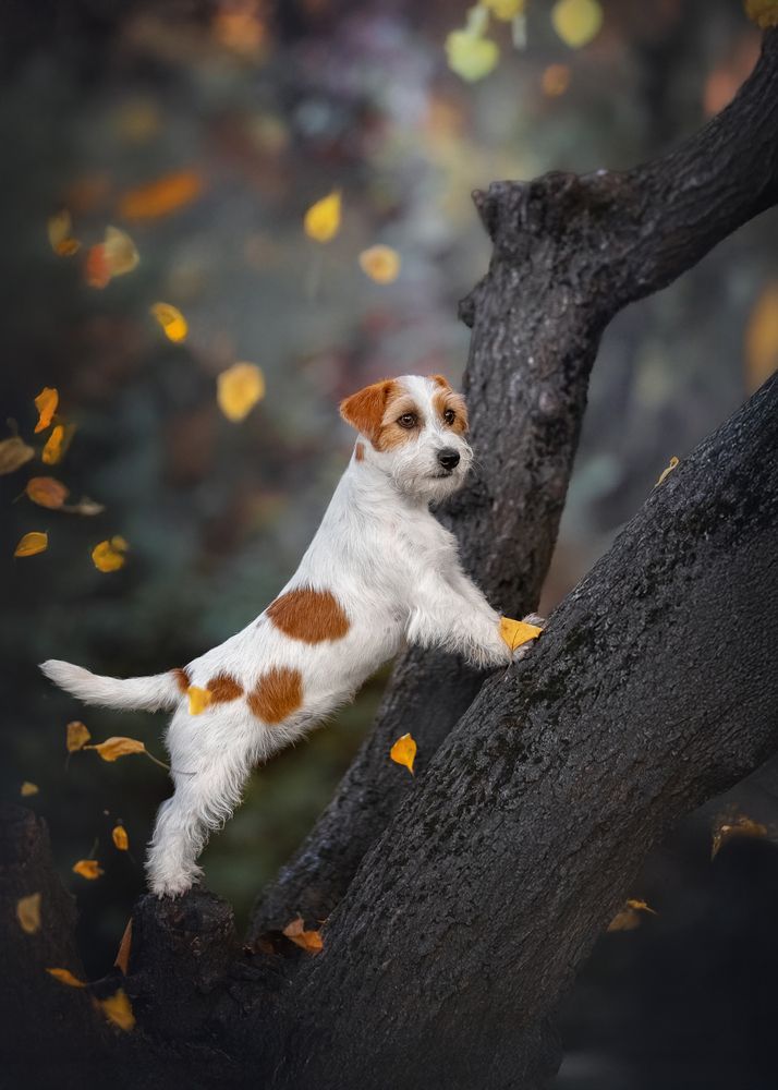 Photograph by Наталья Орел