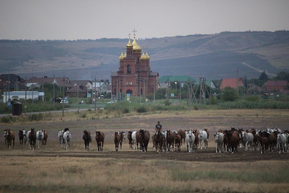 Photograph by Ирина Саттарова