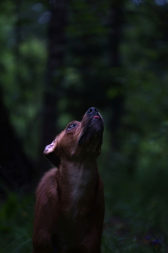 Photograph by Светлана Алексеева