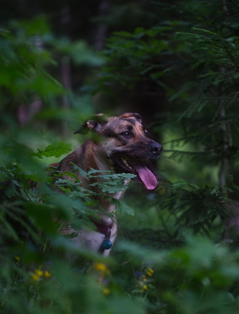 Photograph by Светлана Алексеева