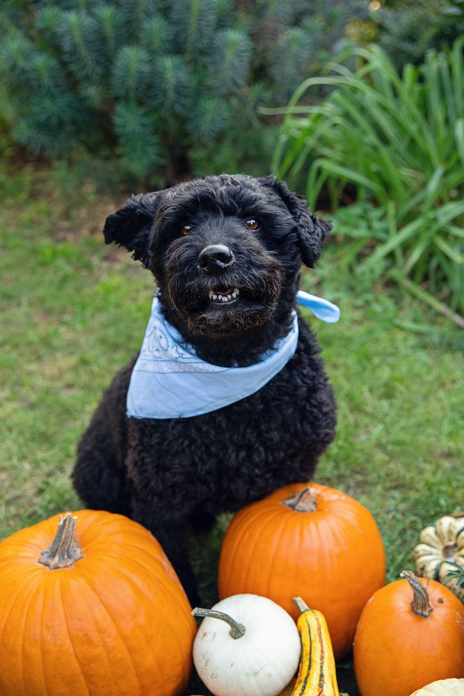 Photograph by Eva Balogh-Burian