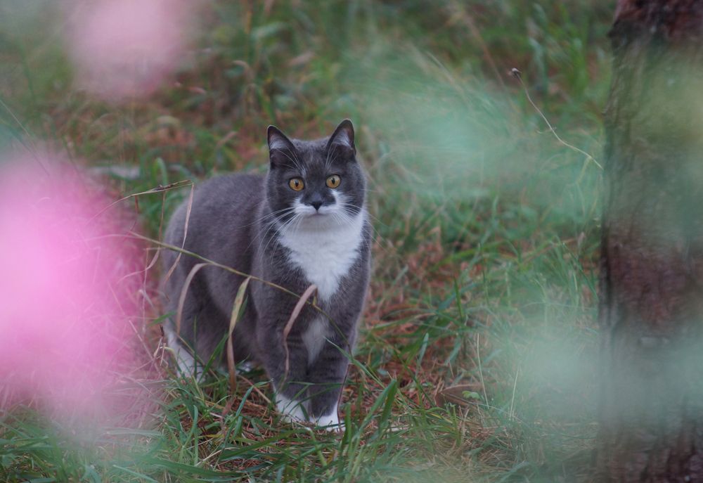 Photograph by Валерия Заноска