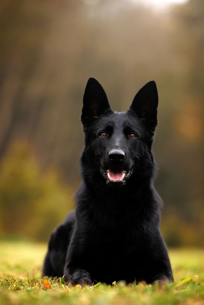 Photograph by Анна Титова