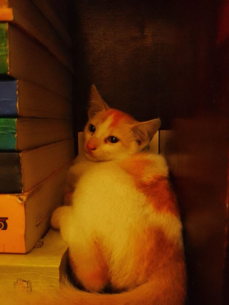 Photograph by Oviul Maruf