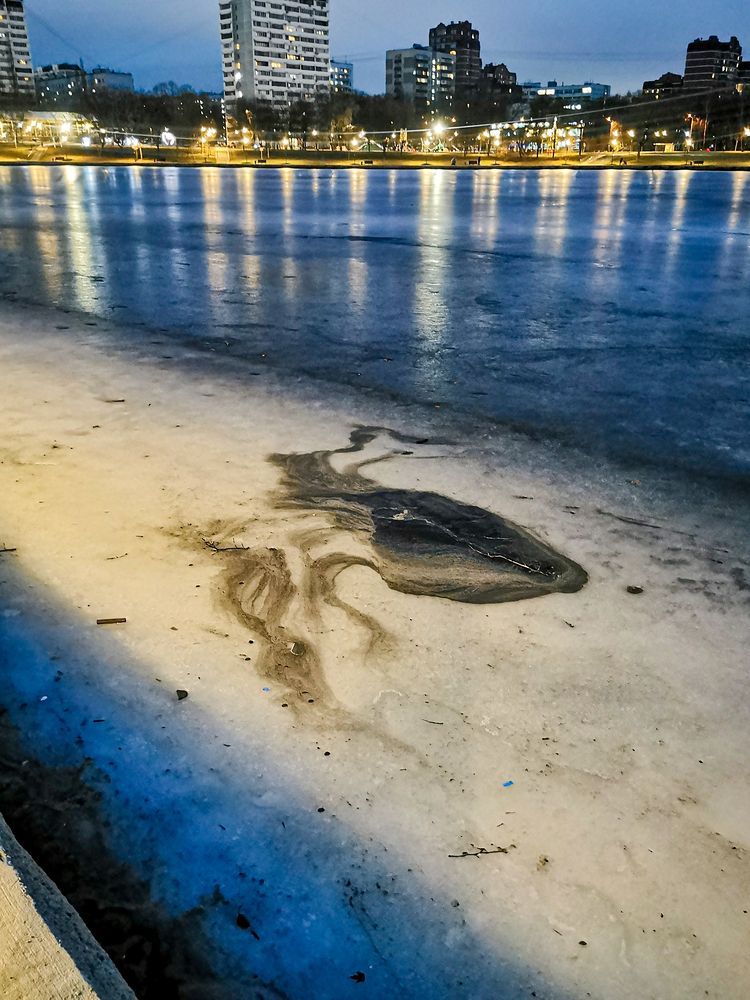 Nature is the best artist. Squid.