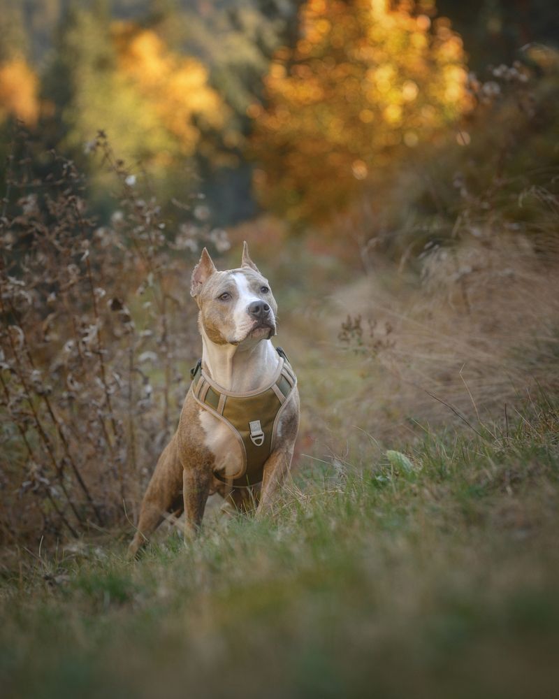 Photograph by Станислав Ветренко