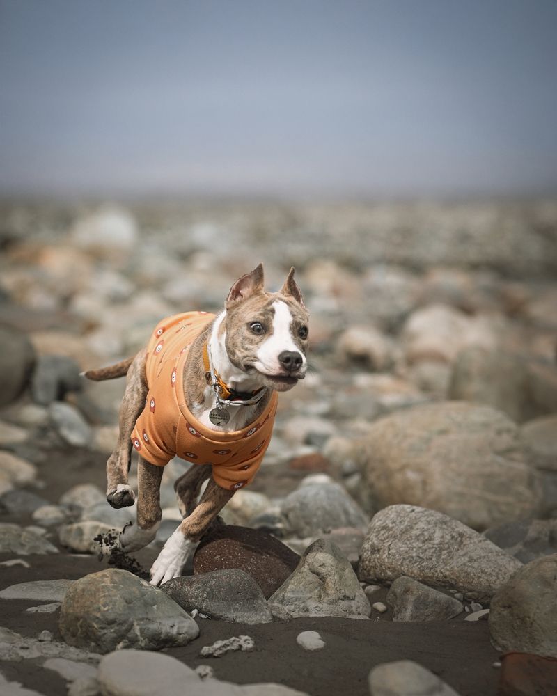 Photograph by Станислав Ветренко