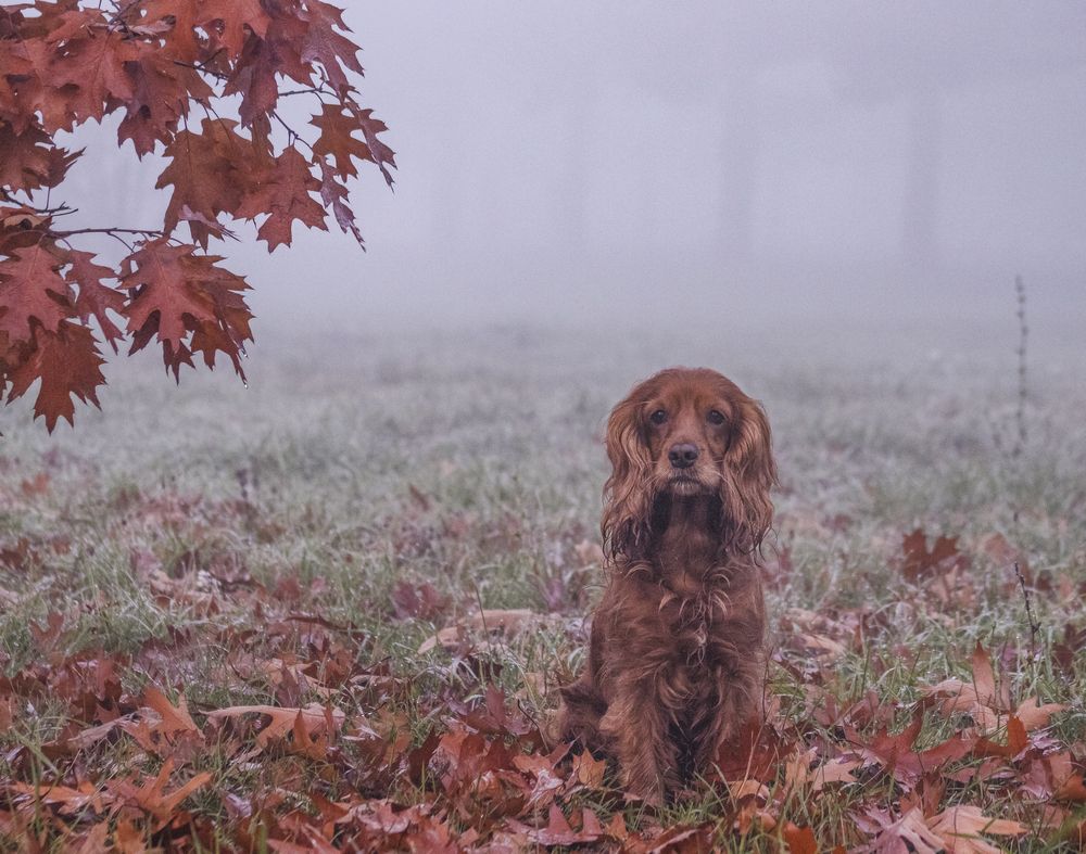 Photograph by Victoria Mogulyan