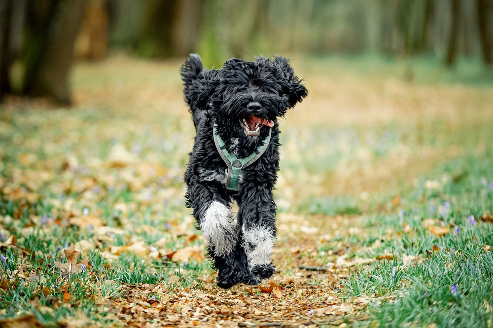 Photograph by Svetlana Soboleva