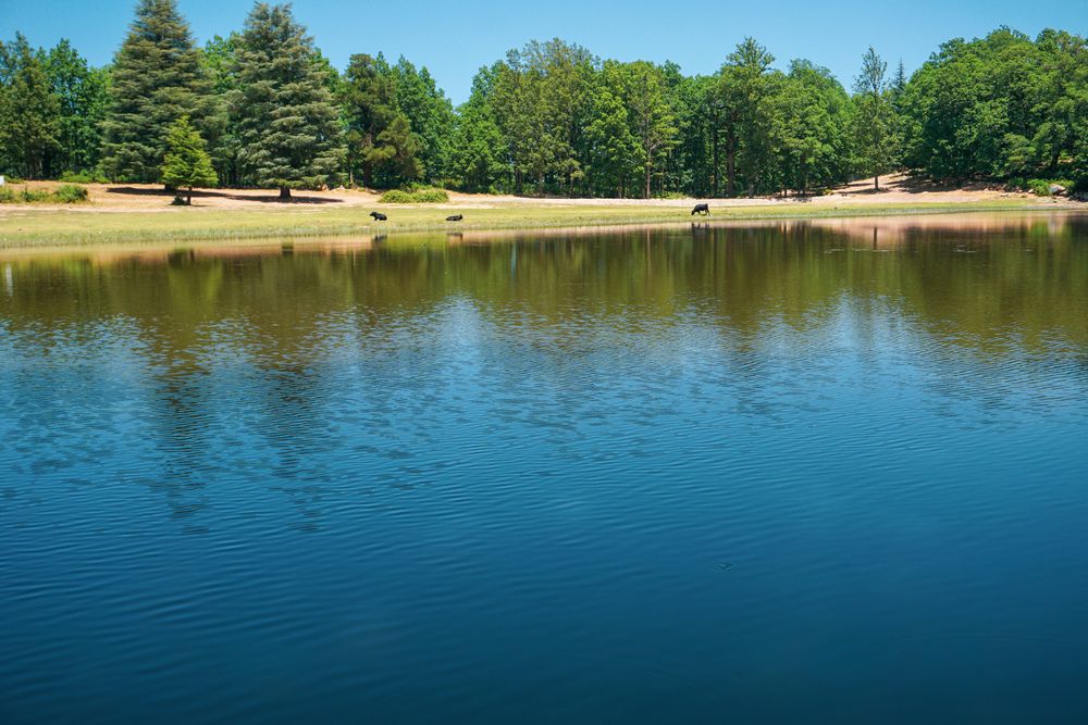 Photograph by meciad mohamed amir eddine