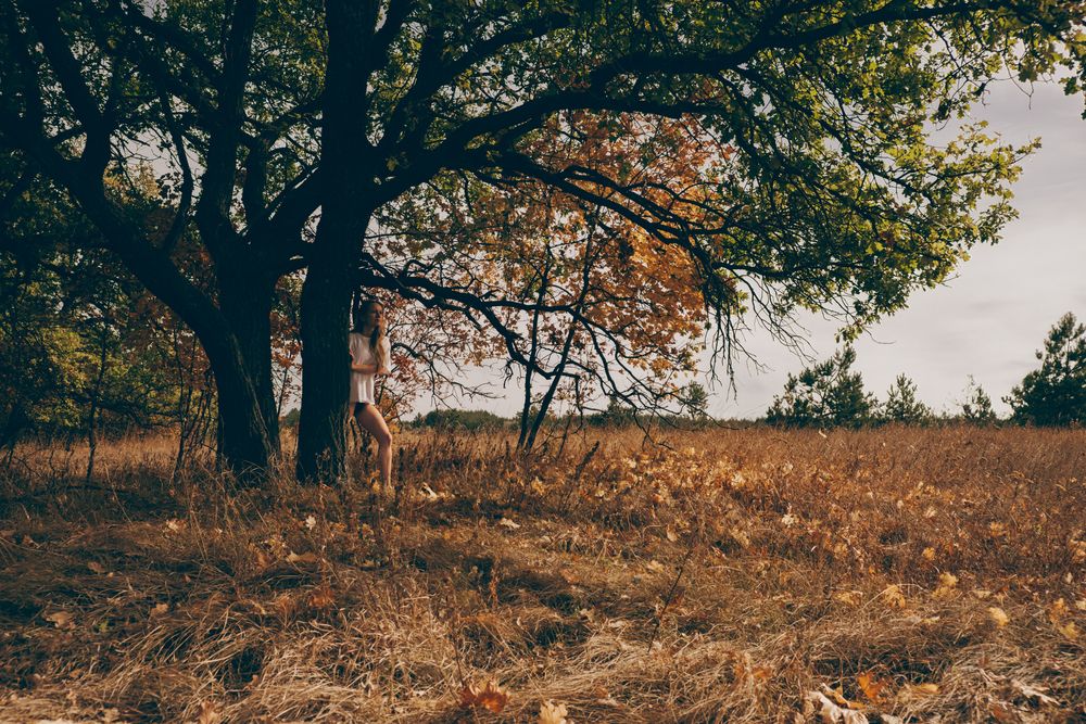 Фотография автора Александров Алексей