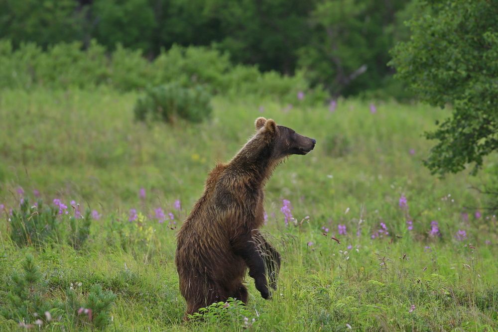 Photograph by Наталья Турчик